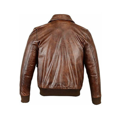 A2 Flight Aviator Leather Jacket back