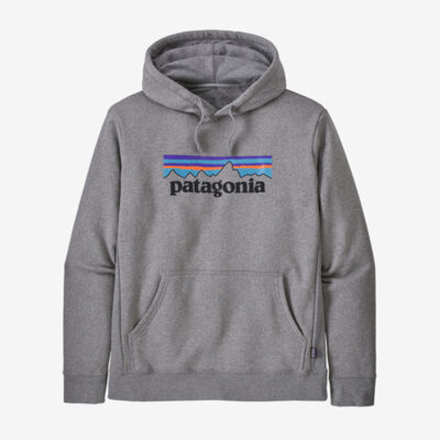 Grey Patagonia Hoodie front