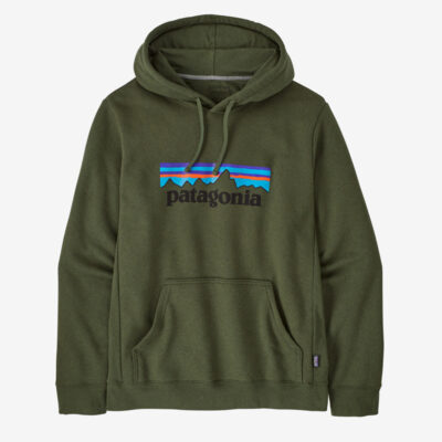 Patagonia Green Hoodie front